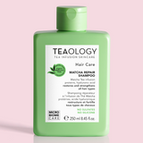 Matcha Repair Shampoo I Teaology Skincare