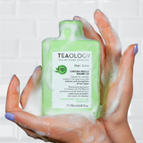 Matcha Repair Shampoo I Teaology Skincare